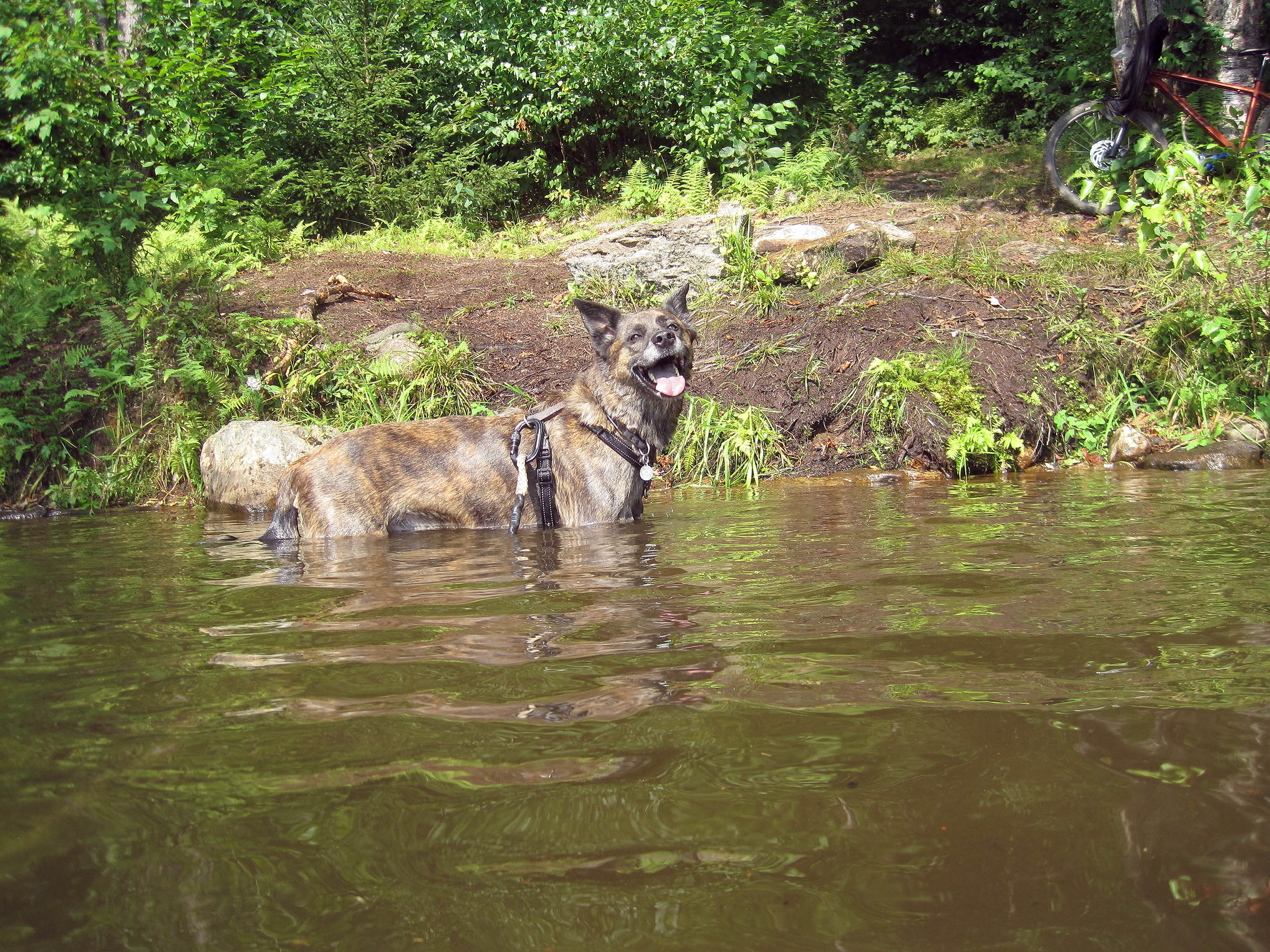 beryl_lac_epaule_baignade