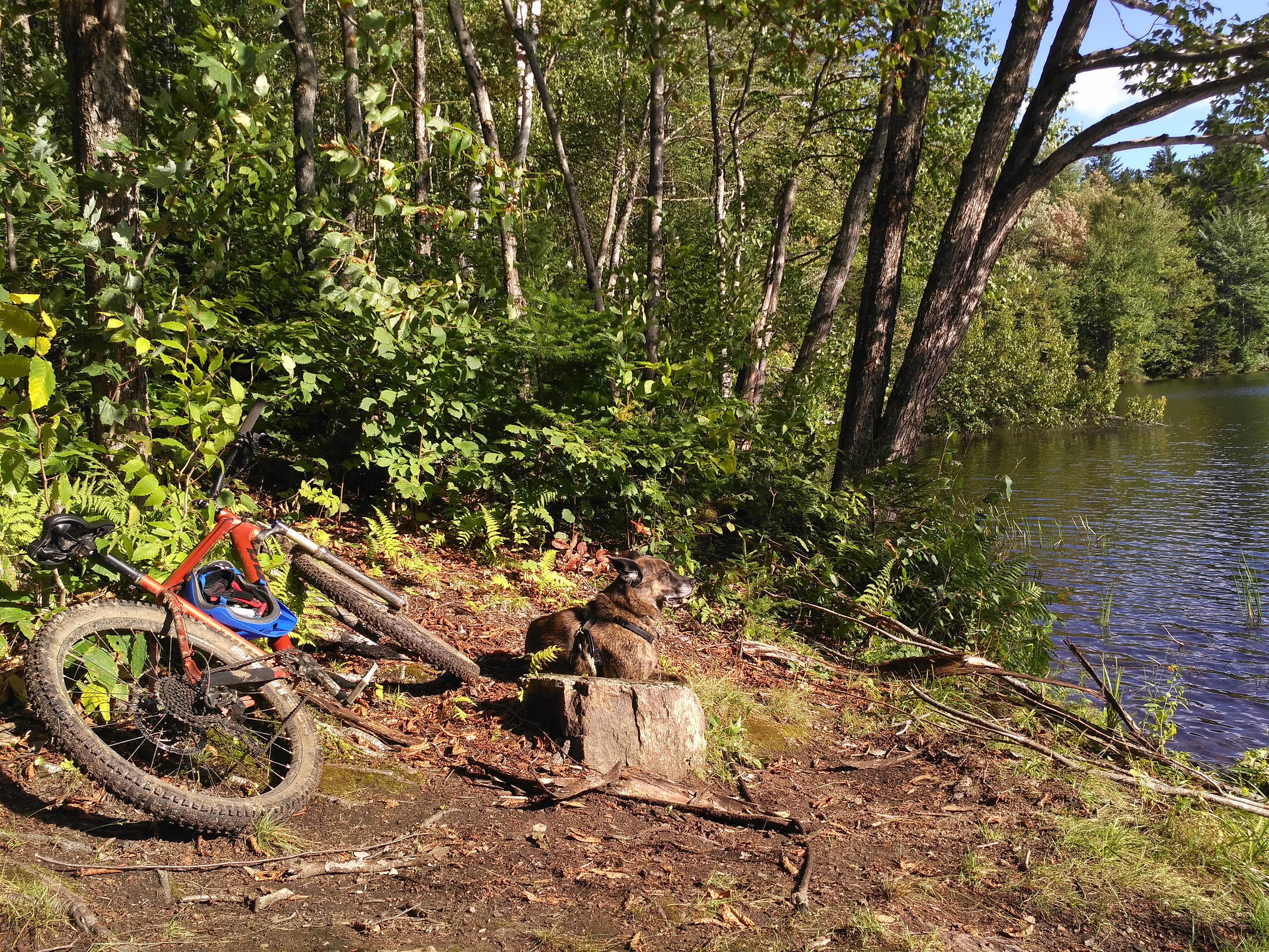 beryl_lake_bike