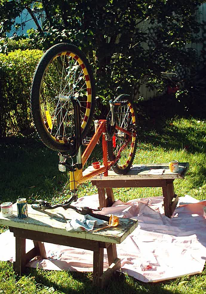 bike1