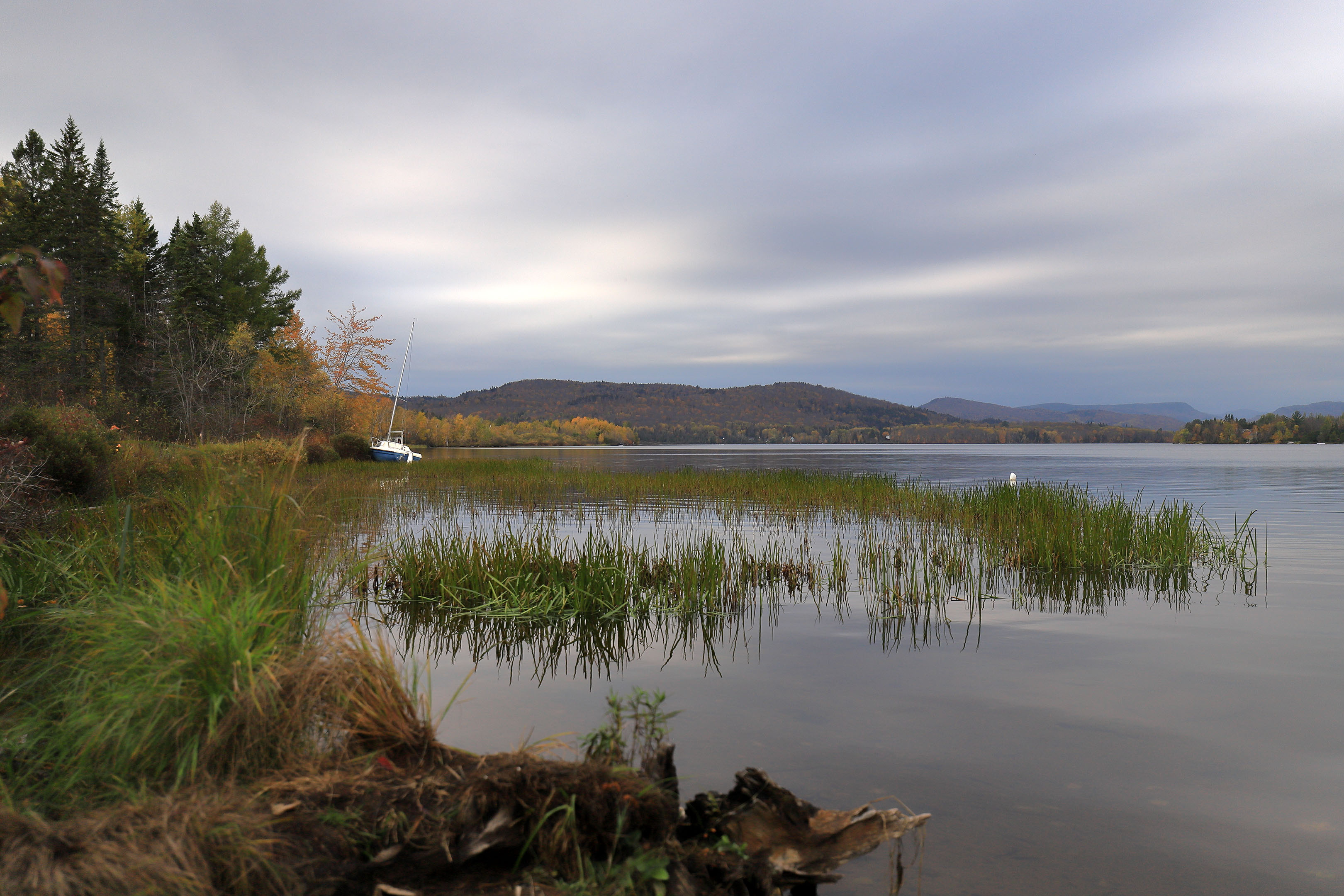 boat_lac_swamp