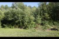 cours_arriere_boisee_1