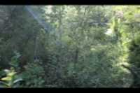 cours_arriere_boisee_11