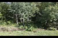 cours_arriere_boisee_2