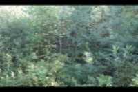cours_arriere_boisee_9