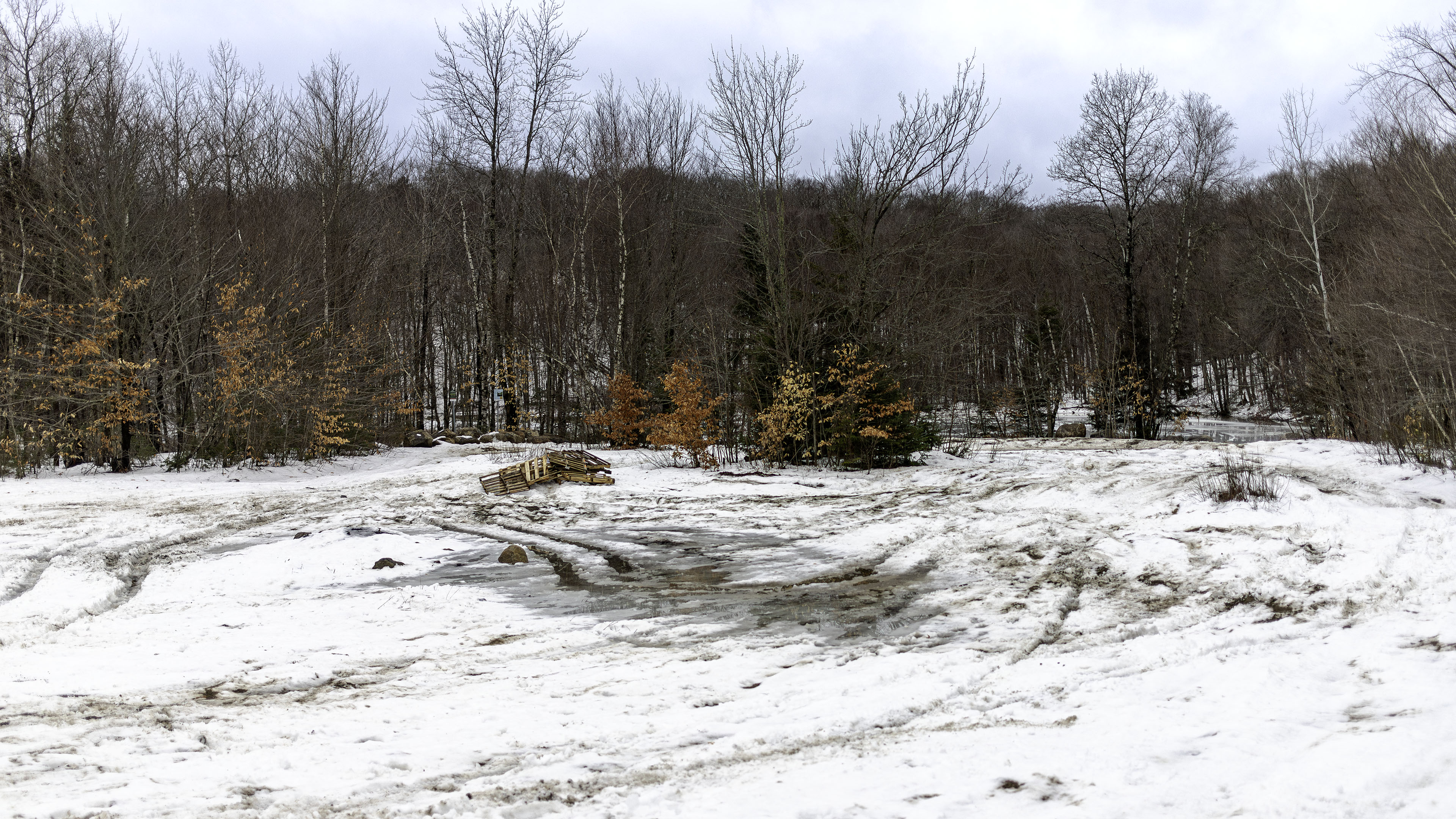 etan_marais_hiver_palette