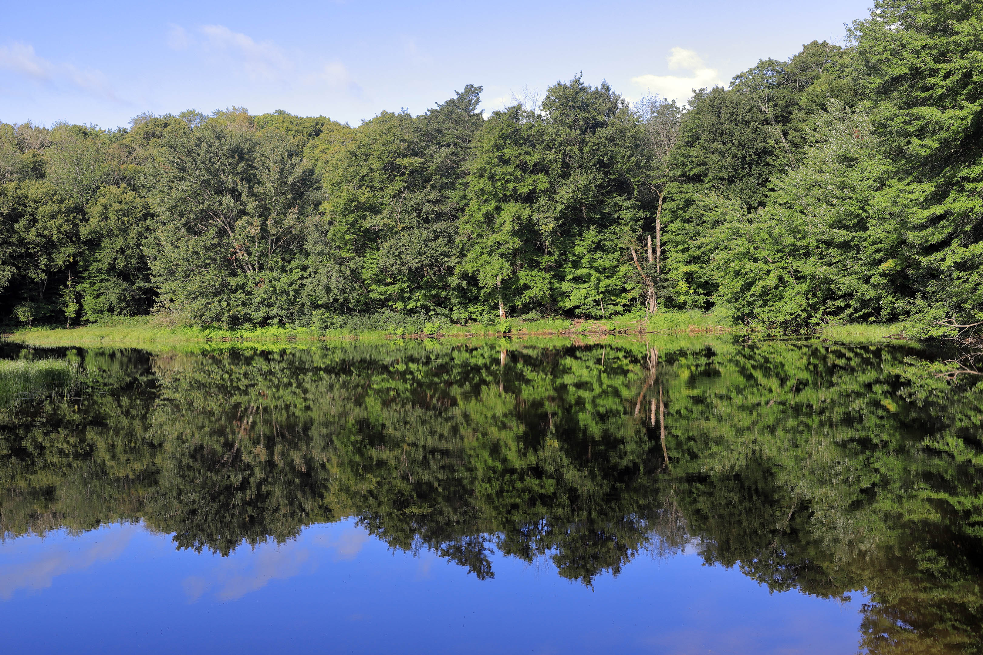 etang_bellevue