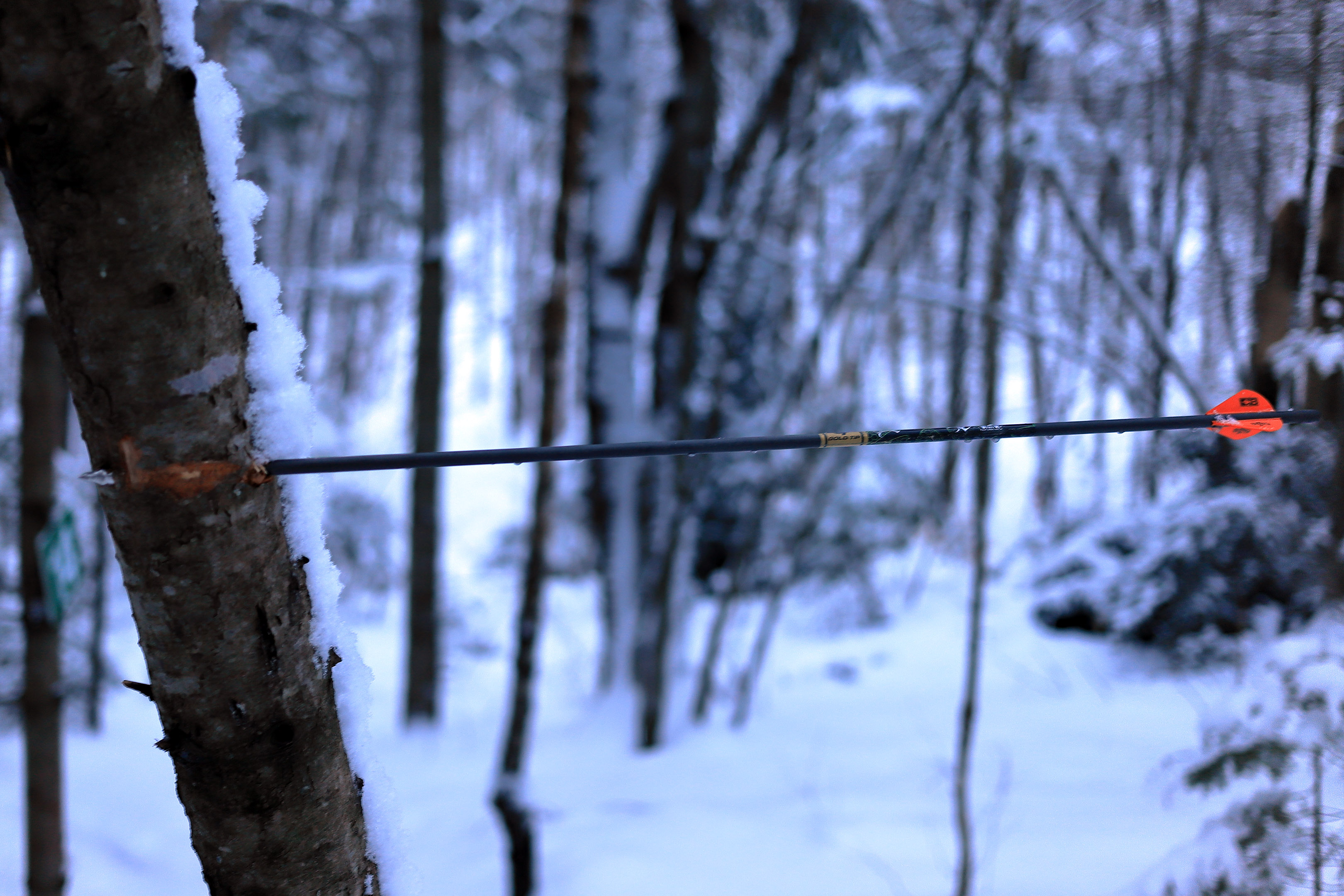 fleche_foret_neige_sentier