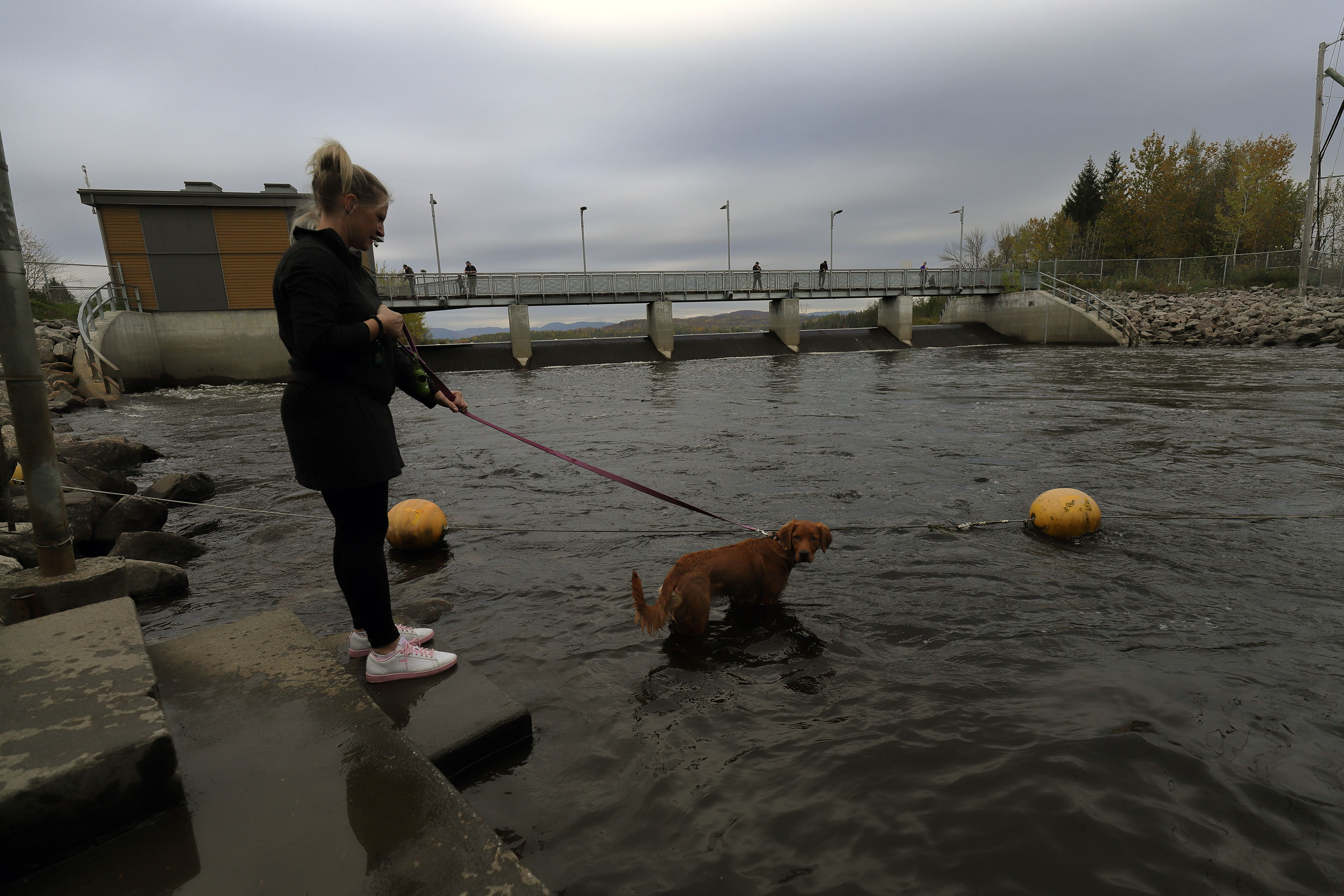 golder_retriever_bathing_women_lac_st-charles