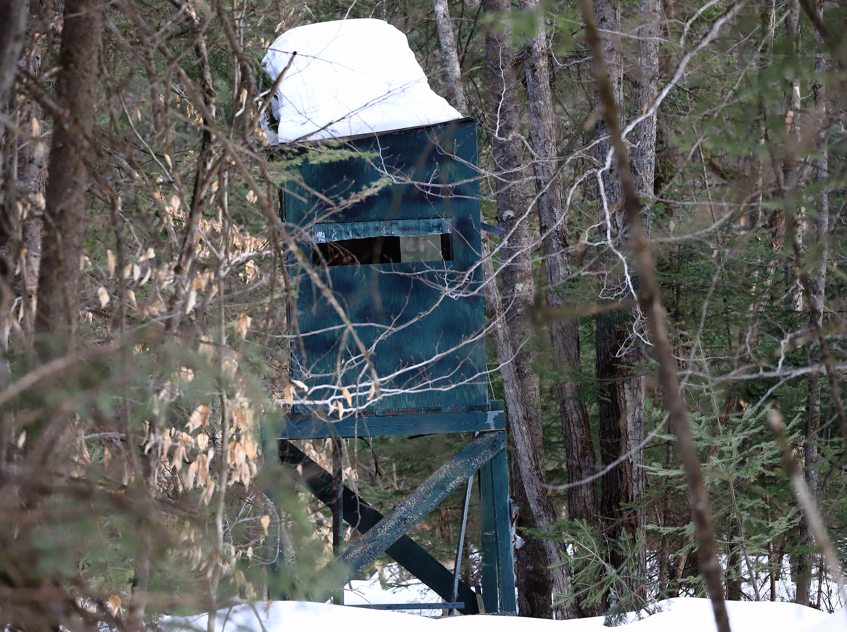 hunting_cache