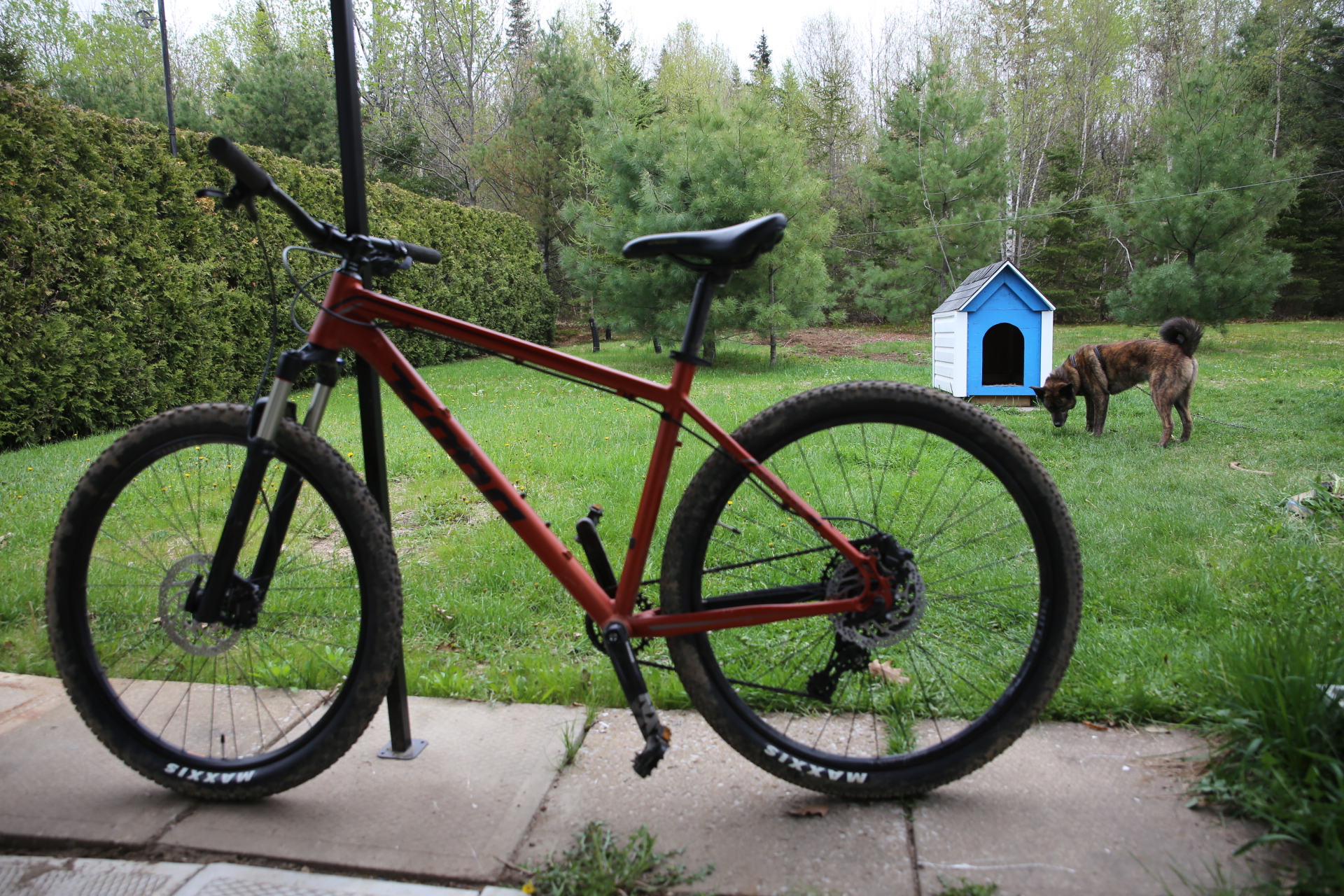 kona_cindercone_yard