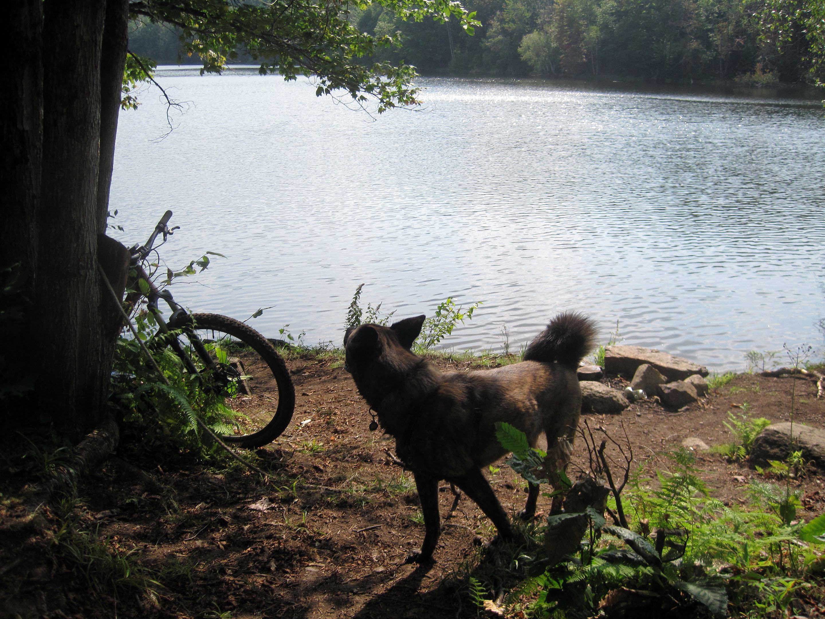 lac_epaule_plage_bike_beryl
