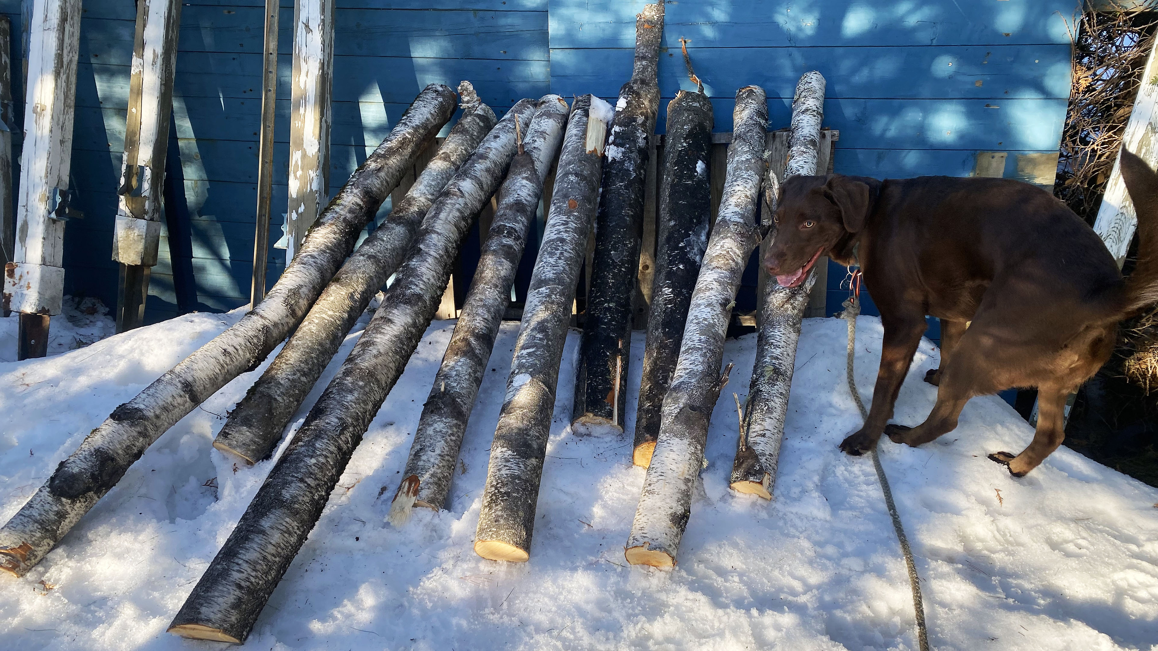 lumber_taiga_snow
