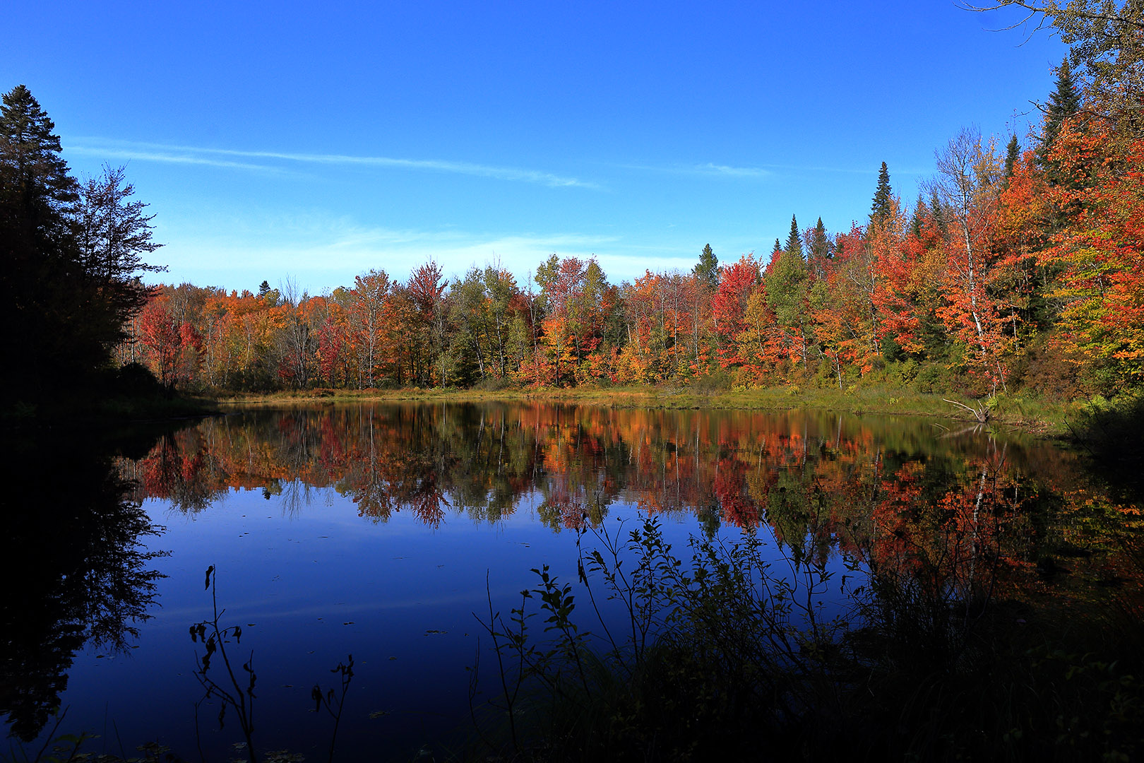 marecage_lac_fripon_automne