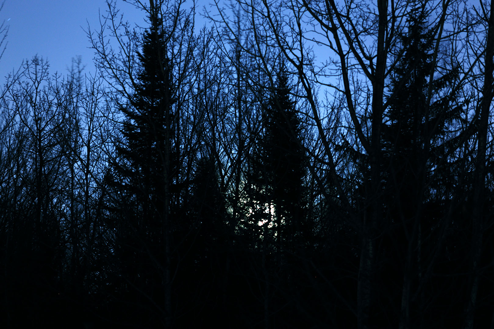 moonrise