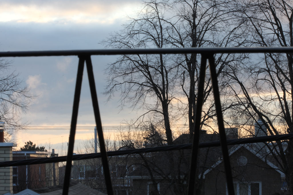 morning_grow_gallerie