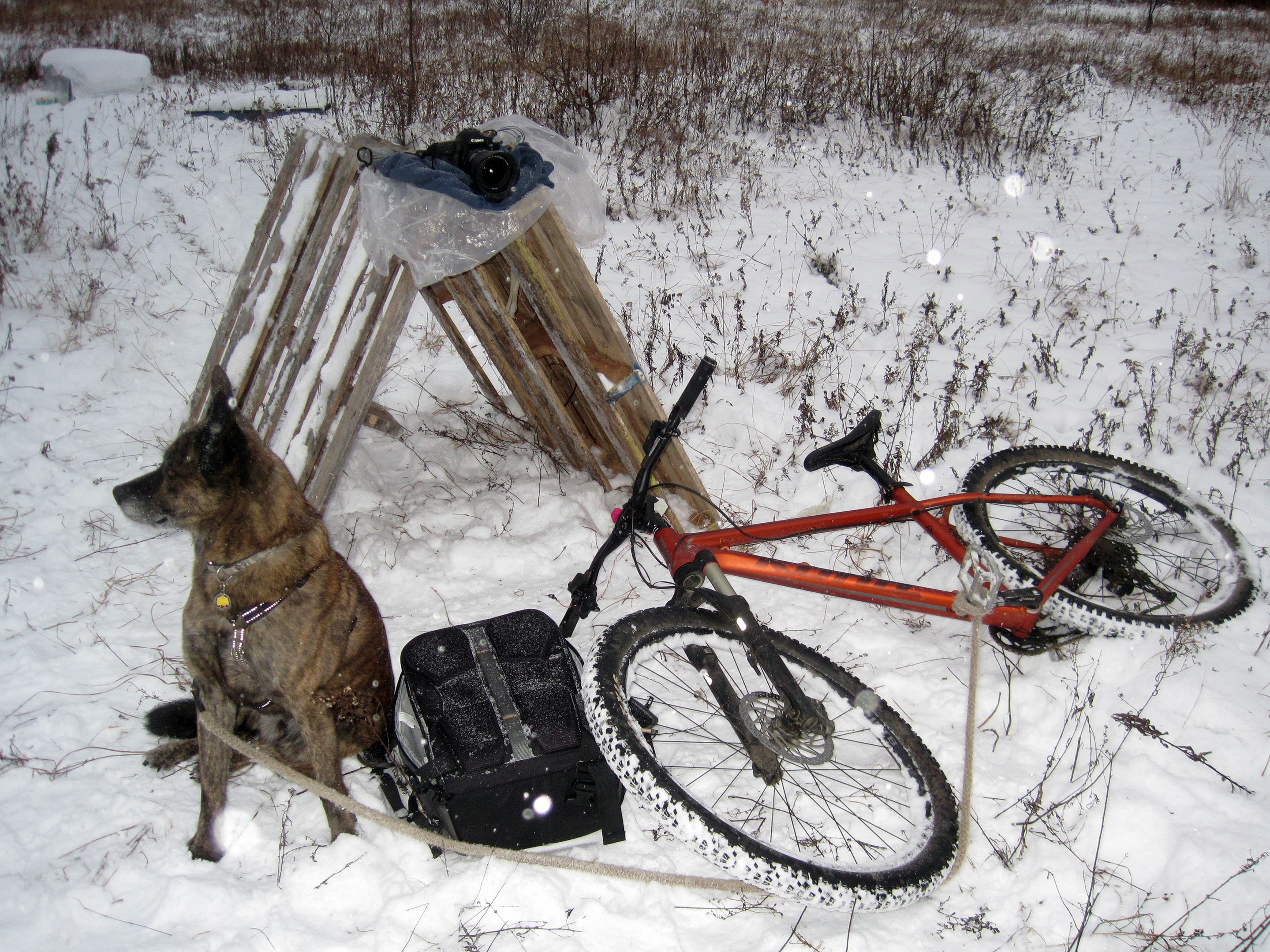 rf24ghz_remote_shutter_bike_dog_snow_canon_pallet