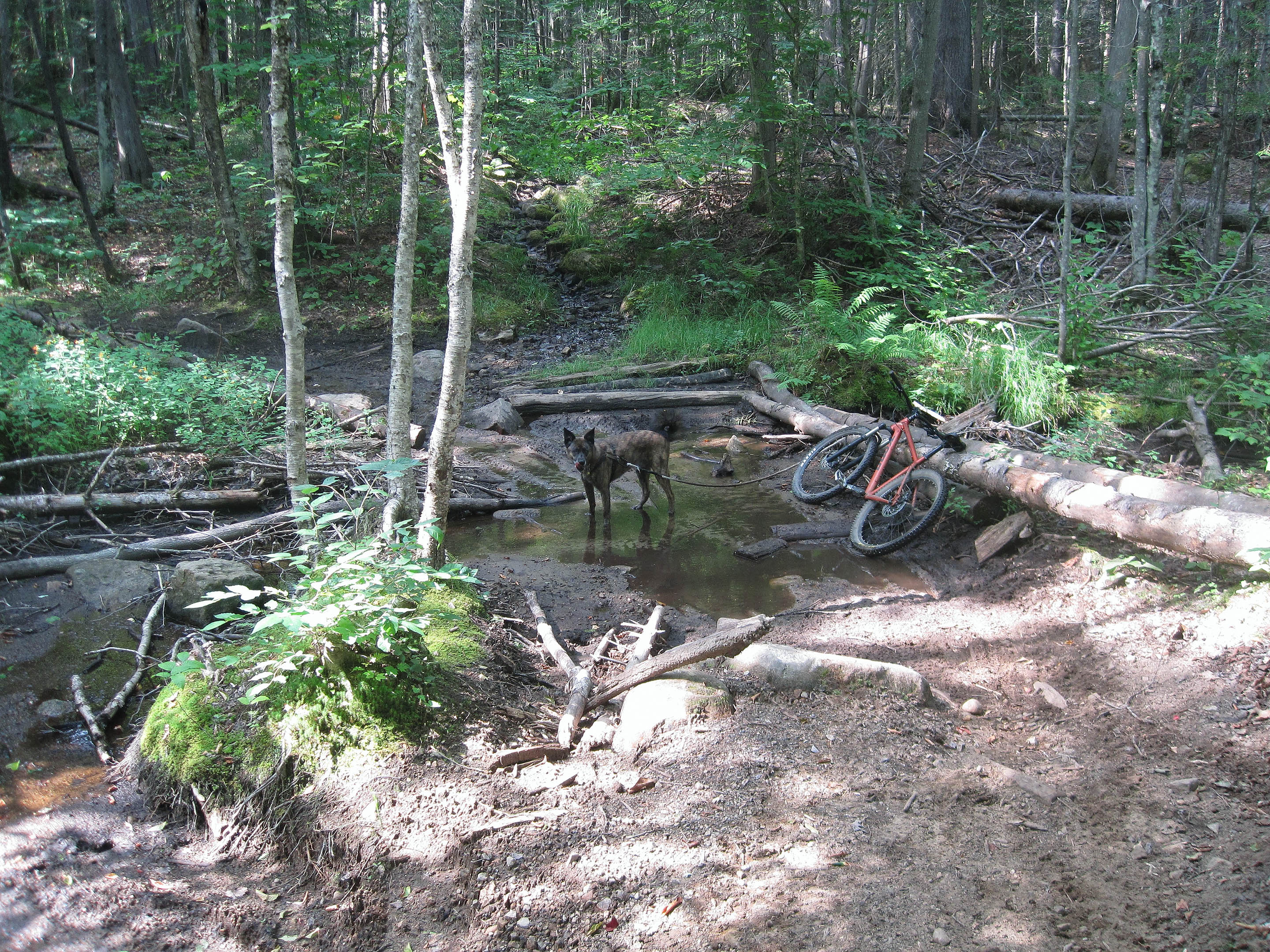 riviere_lac_epaule_beryl_bike