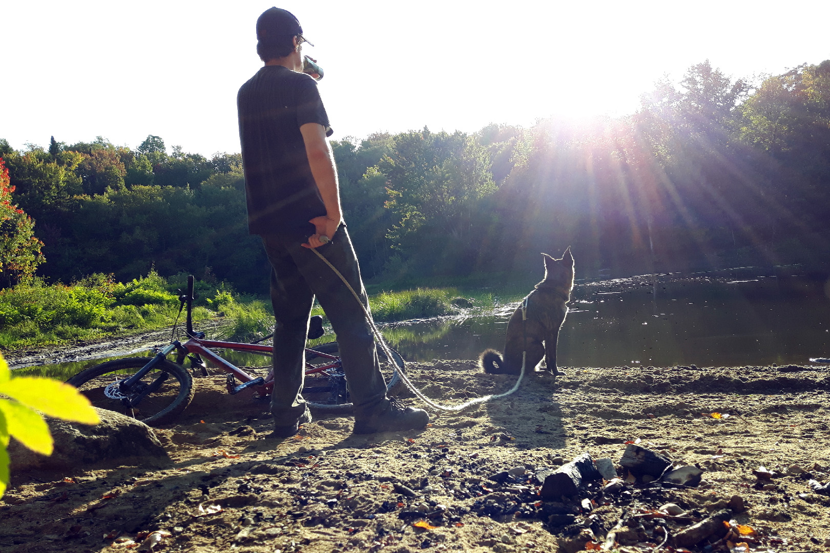 swamp_bed_beryl_bike_elz