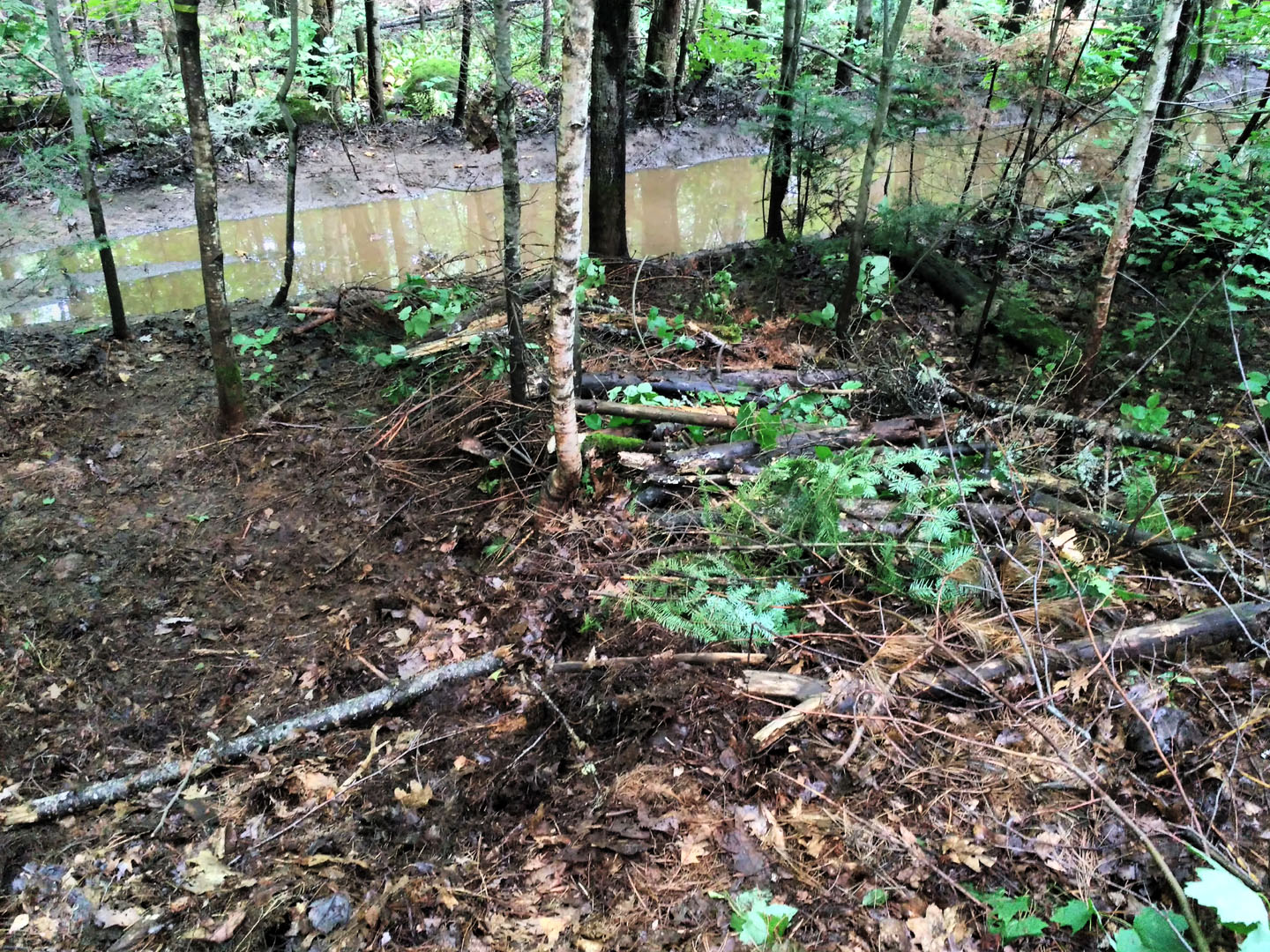 trail_slope_2022