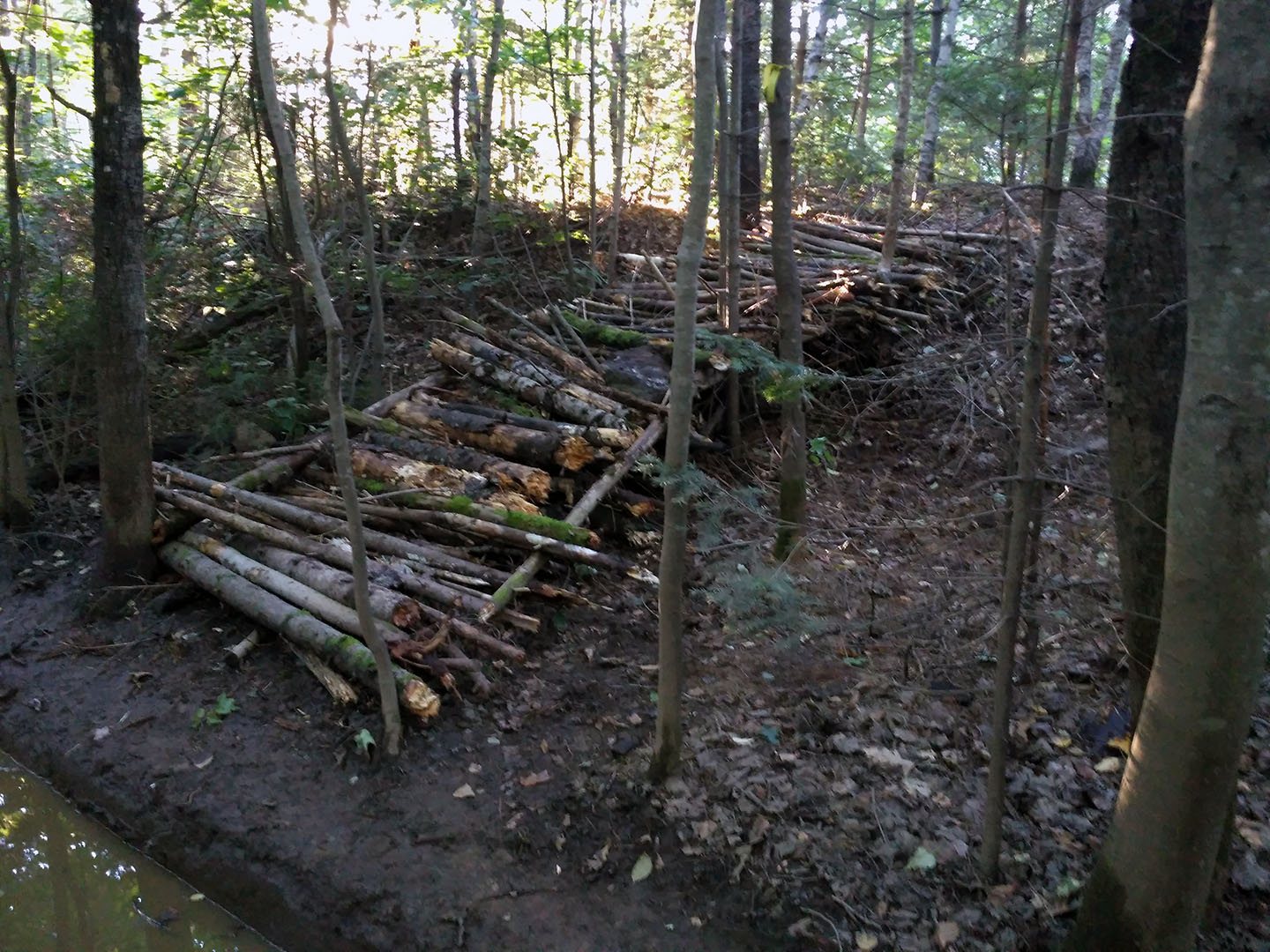 trail_slope_2022_2