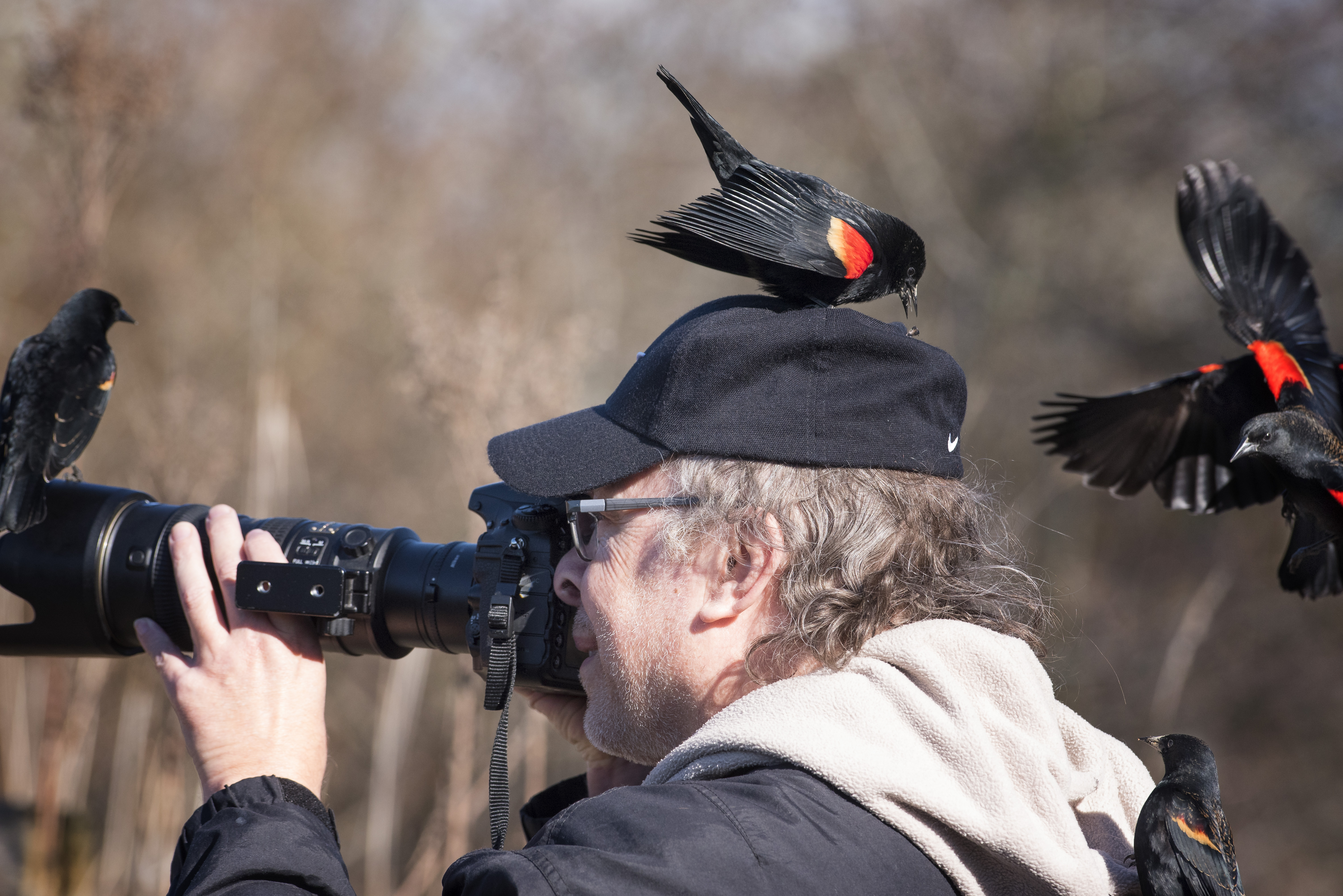 doug_blackbird_Reifel_48763