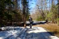 2016_04_30_etang_Bellevue_elz_beryl_snow_trail