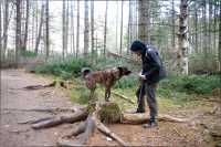 Bruno_Beryl_wright_souche_1