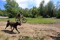 bike_beryl_swamp