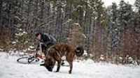 elz_beryl_bike_snow_search