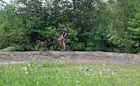 elz_beryl_bike_swamp_relaxing