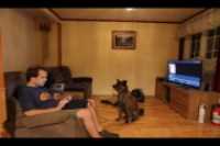 elz_living_room