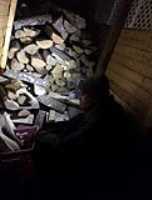 elz_wood_shed_light_toque