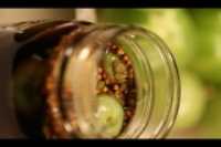 jeune_tomates_marinees