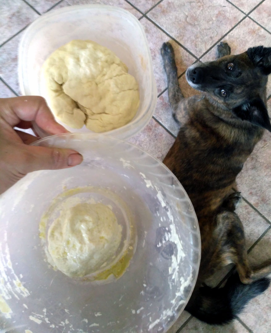 cold_warm_dough
