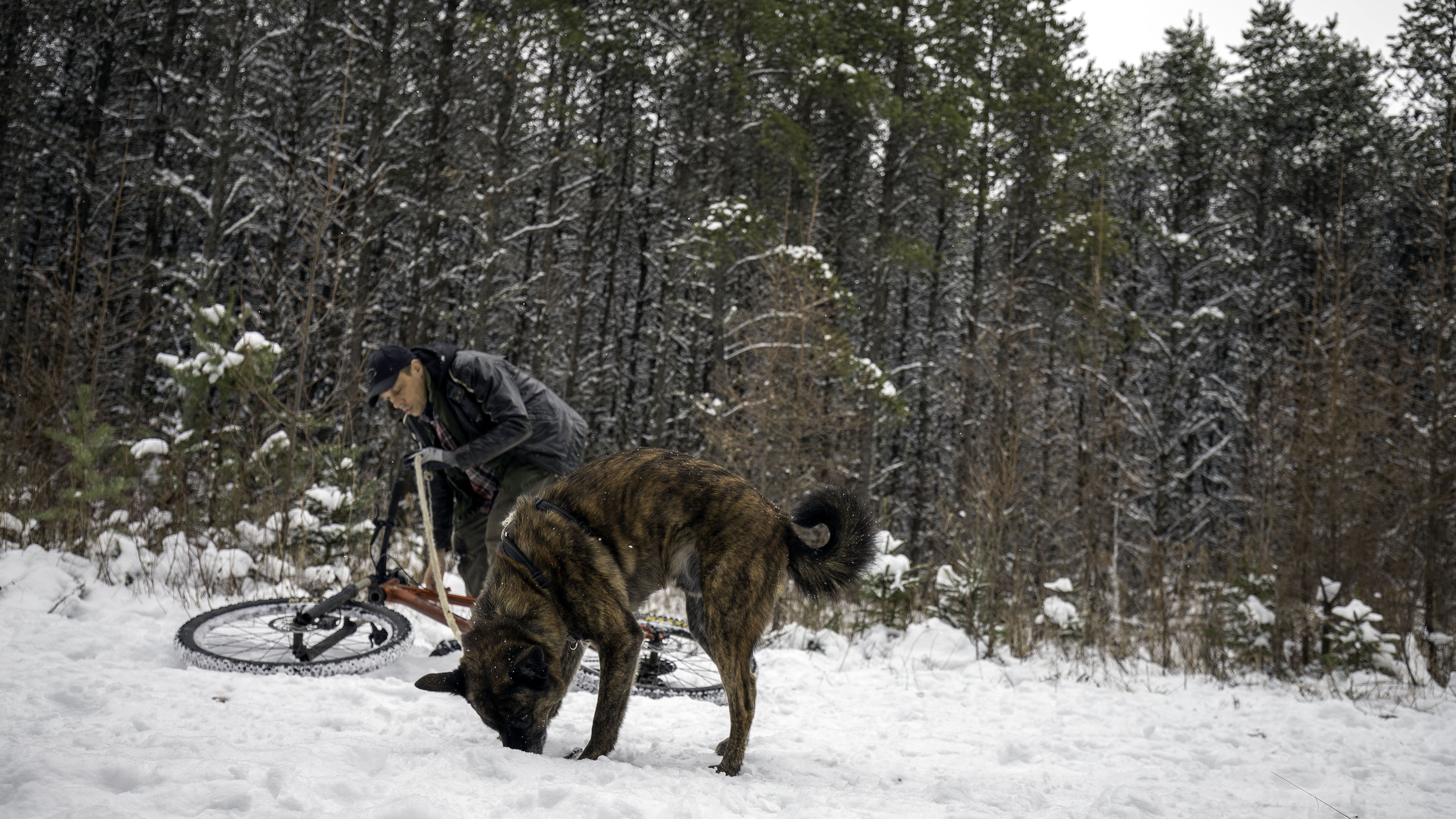elz_beryl_bike_snow_search
