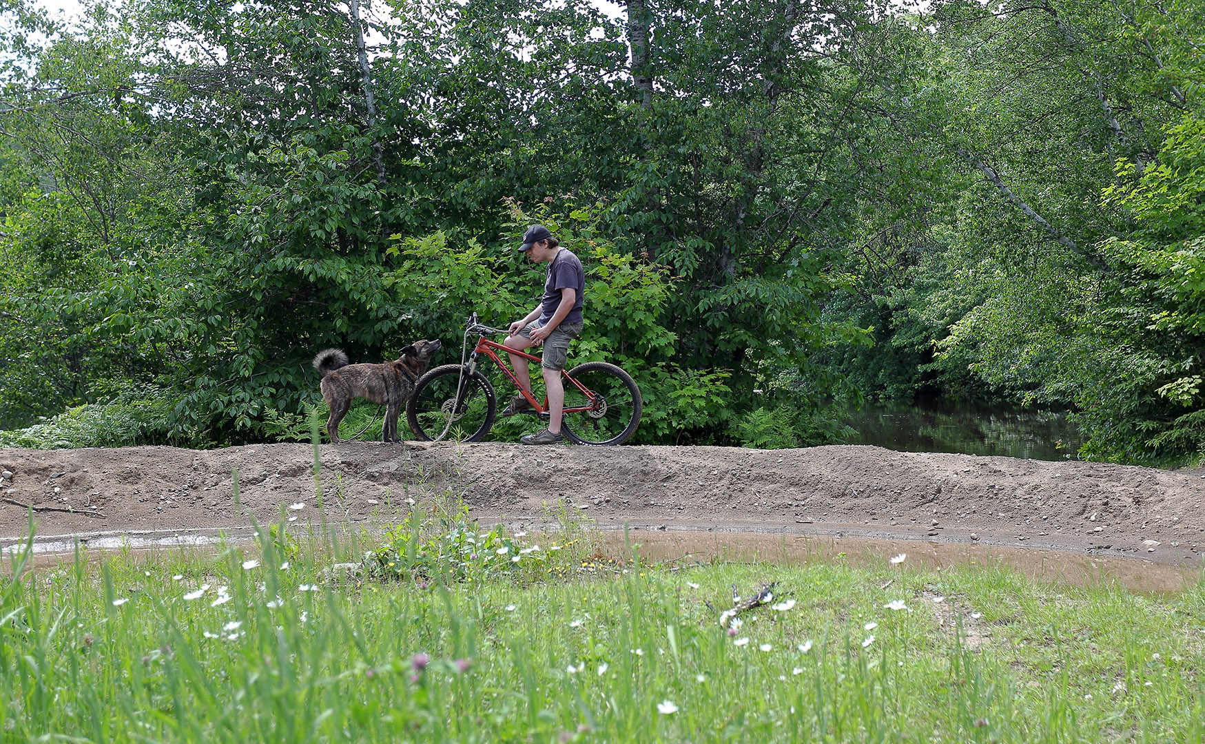 elz_beryl_bike_swamp_relaxing