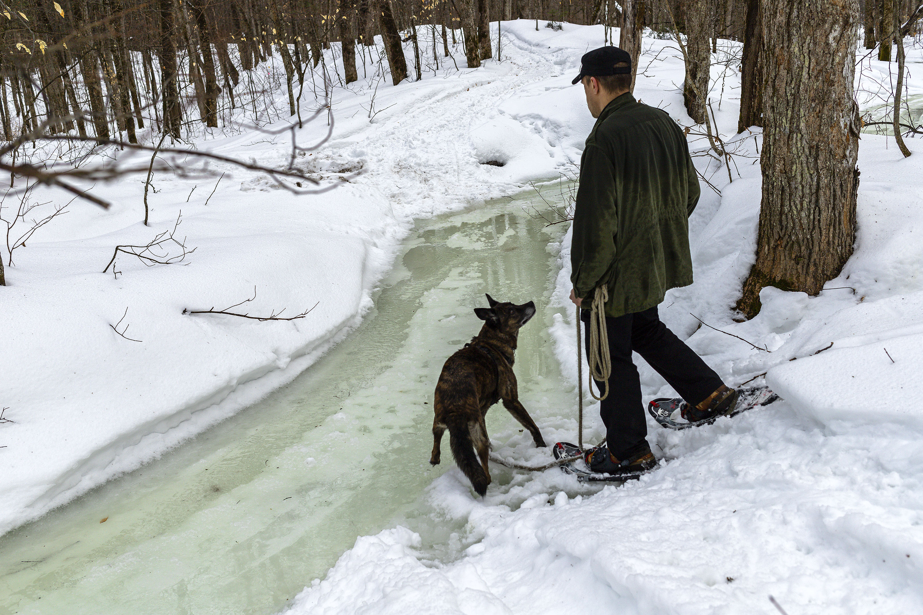 elz_dog_snowshoes_river