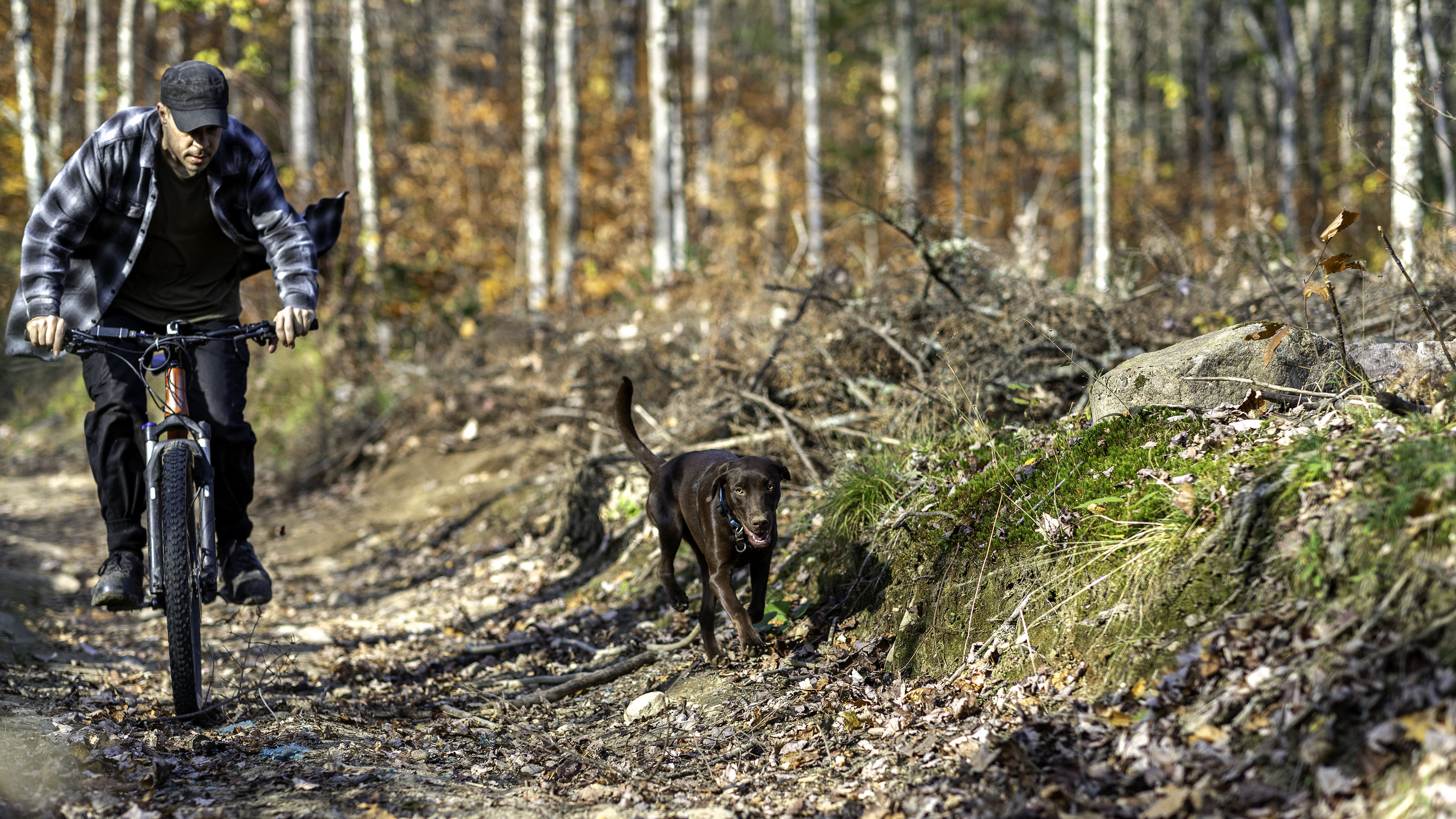 elz_mtb_taiga_forest_trail