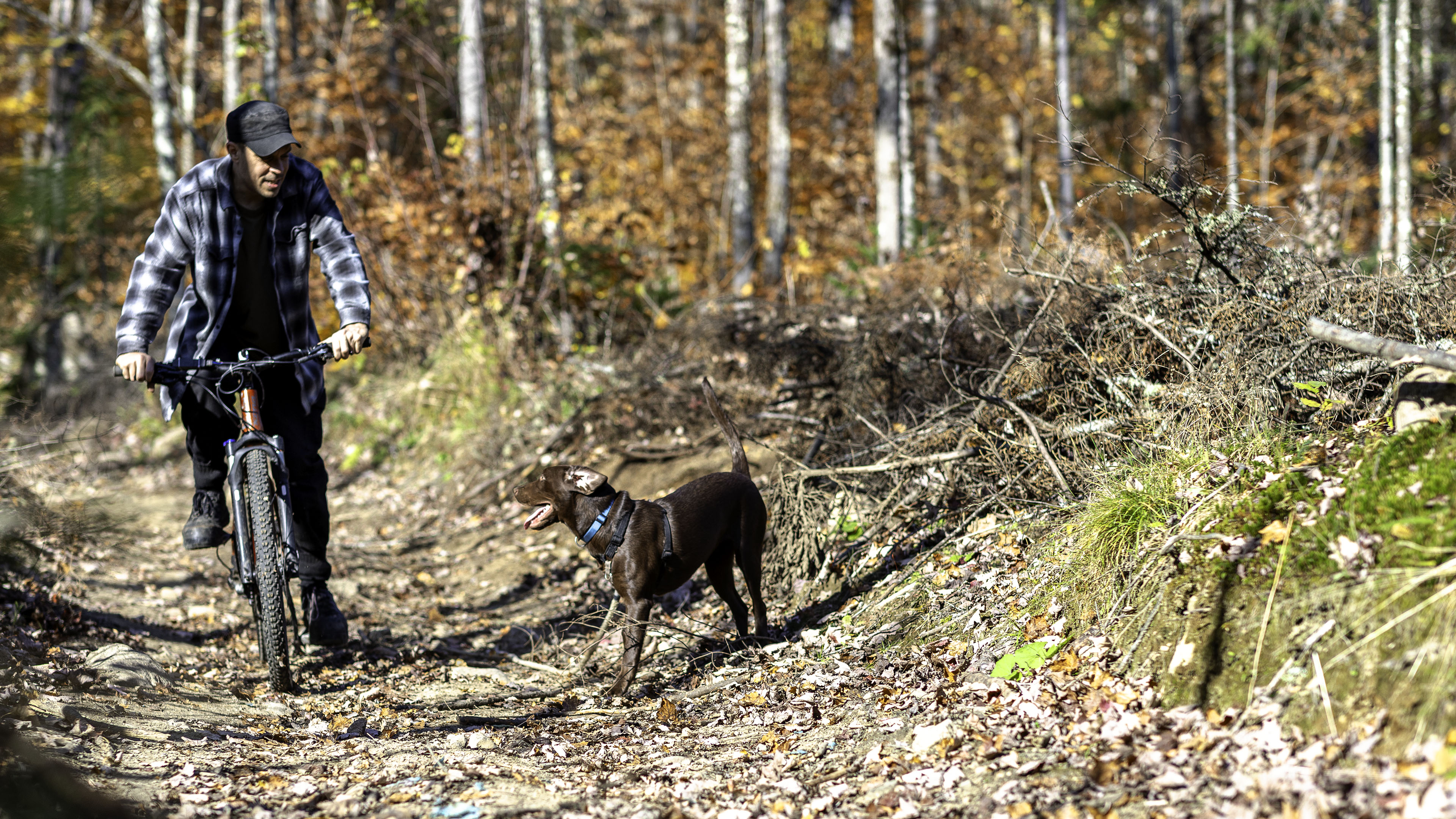 elz_mtb_taiga_forest_trail_lookout