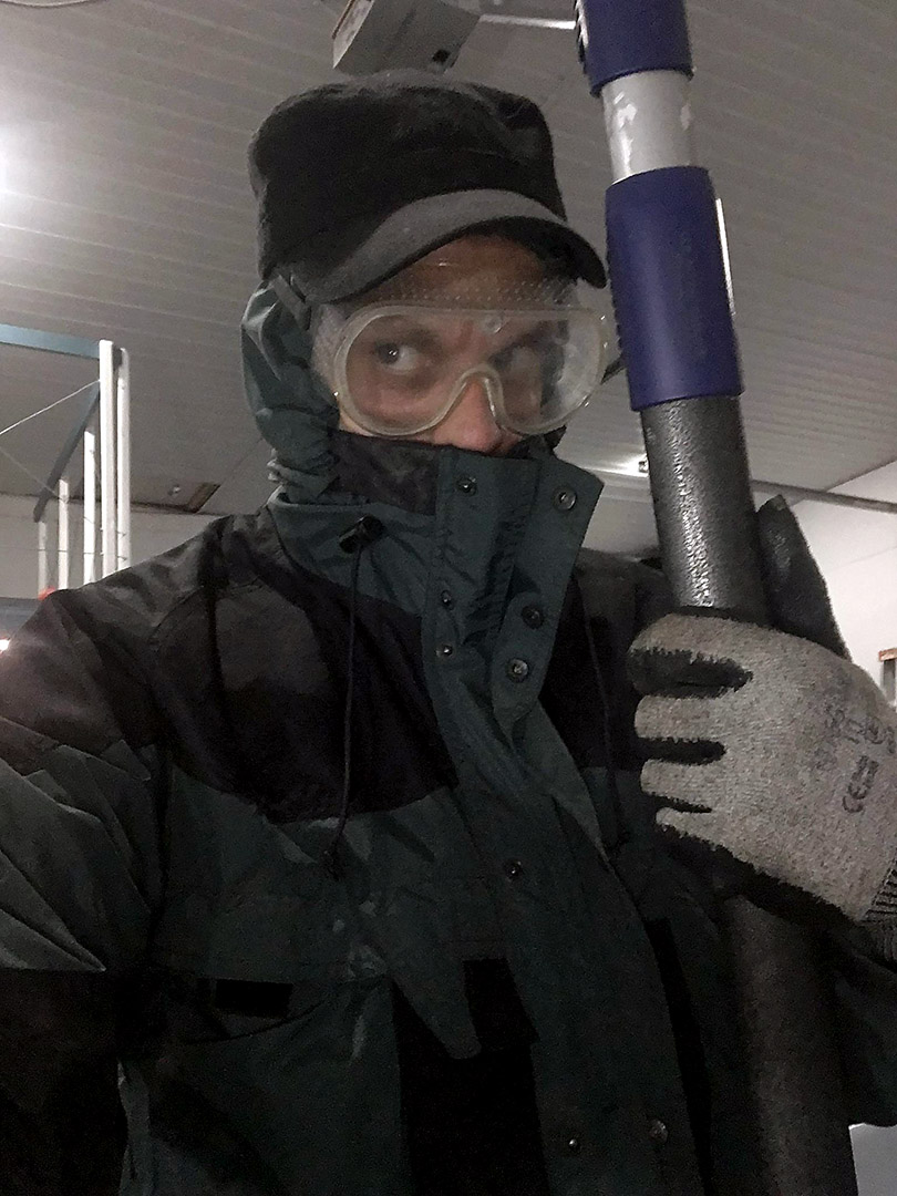 elz_wasp_nest_hunter