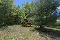 backyard_table_elz_beryl