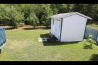 dog_shadow_garden_shed
