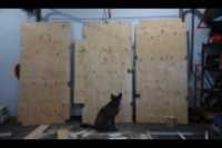 firewood_shed_floor_sheating_cut