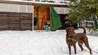 firewood_shed_green_tarp_open