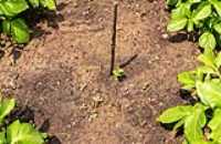 garden_detail