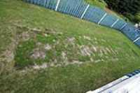 gazon_patch