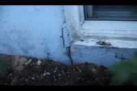 house_window_foundation_crack