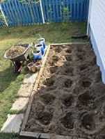 jardin_2022_patates_tomates