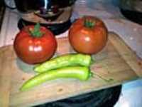 jardin_tomates_13