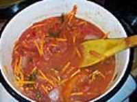 jardin_tomates_16
